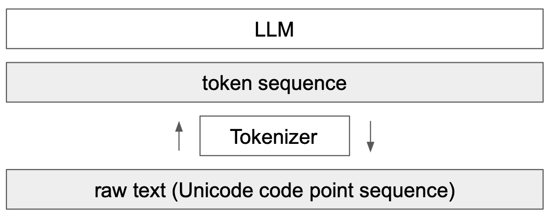 tokenizer