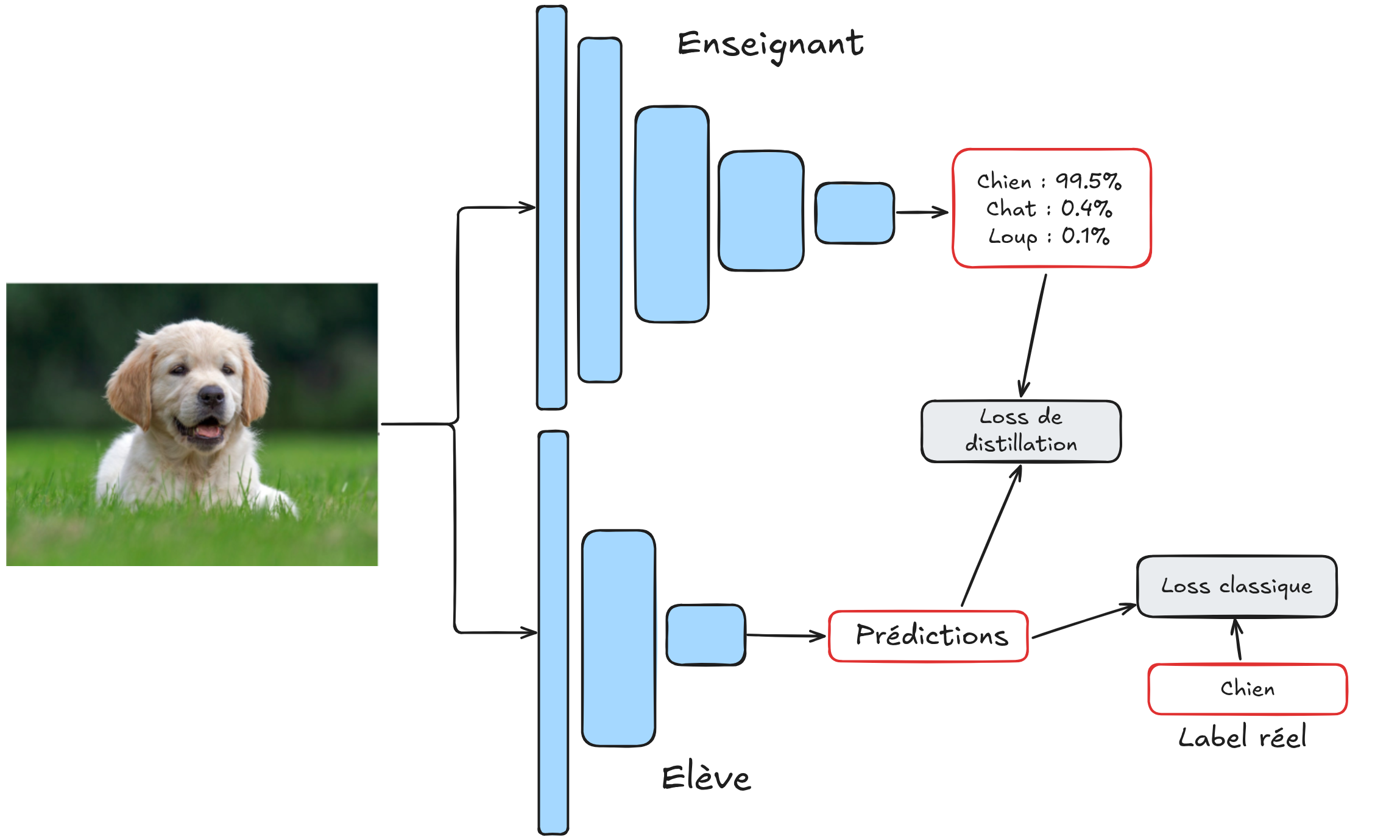 知识蒸馏示意图